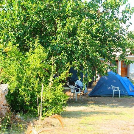 Medusa Camping Патара Екстериор снимка